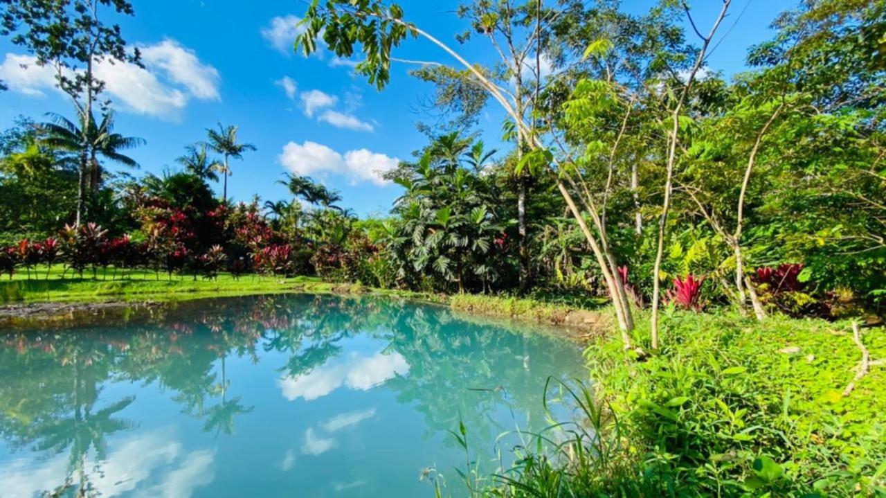 Blue River Resort & Hot Springs Liberia Εξωτερικό φωτογραφία