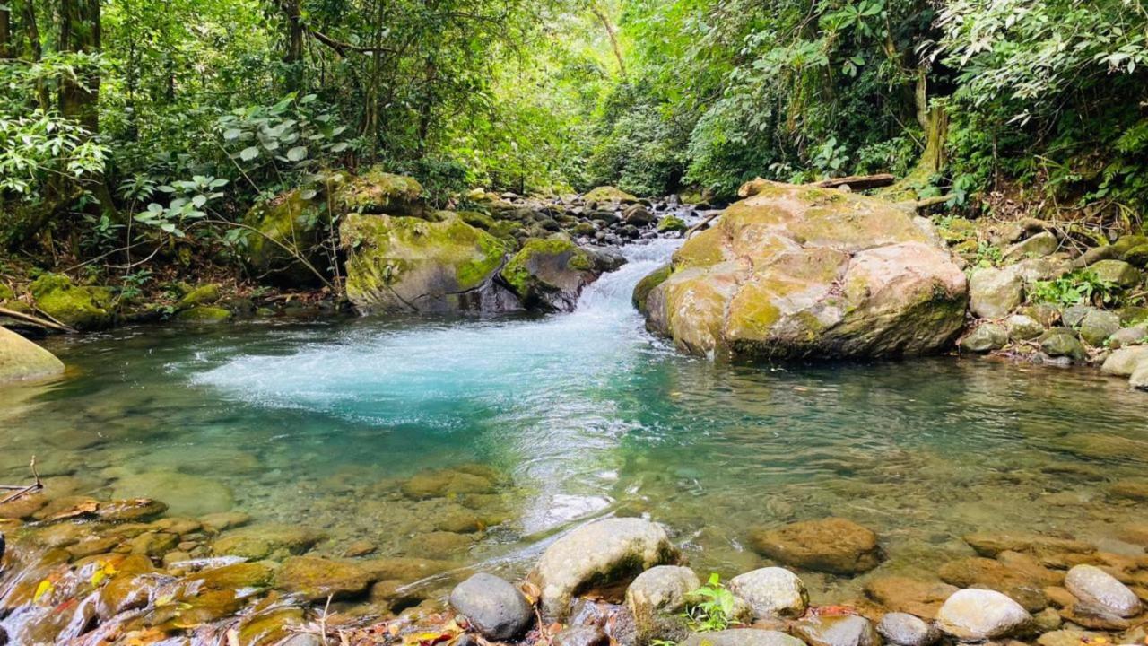 Blue River Resort & Hot Springs Liberia Εξωτερικό φωτογραφία