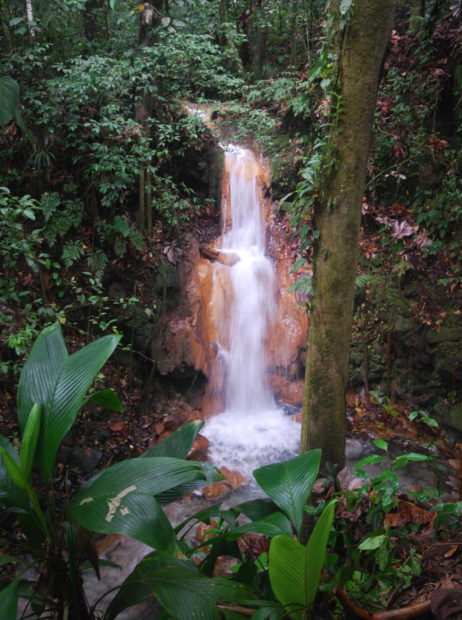 Blue River Resort & Hot Springs Liberia Εξωτερικό φωτογραφία