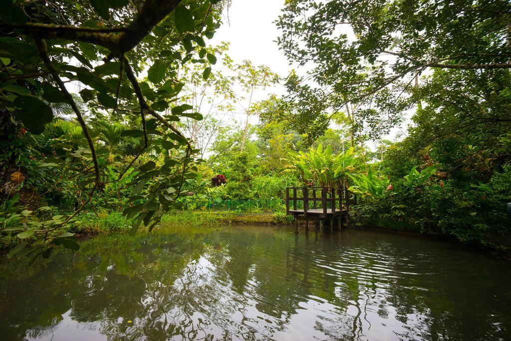 Blue River Resort & Hot Springs Liberia Εξωτερικό φωτογραφία