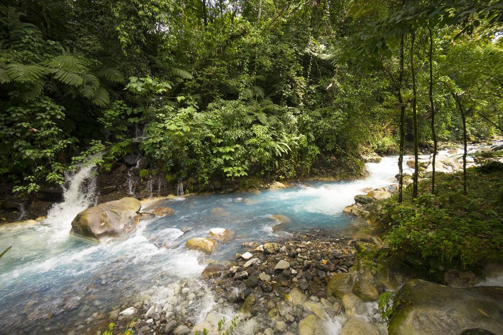 Blue River Resort & Hot Springs Liberia Εξωτερικό φωτογραφία