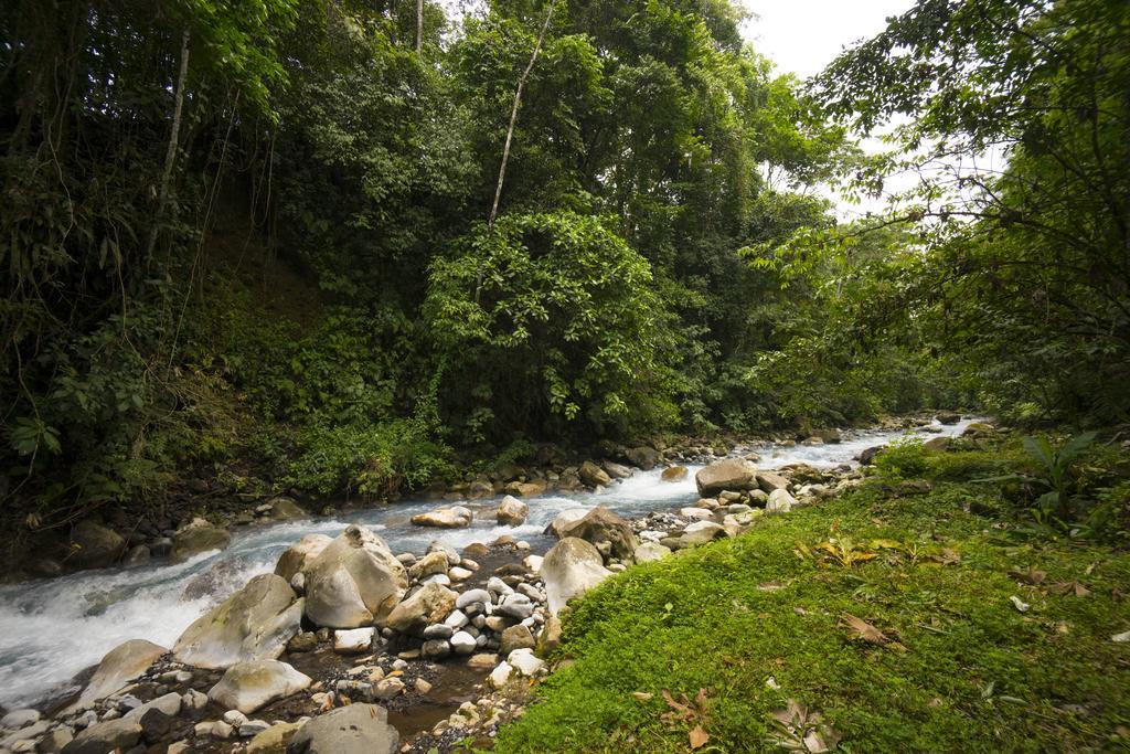 Blue River Resort & Hot Springs Liberia Εξωτερικό φωτογραφία