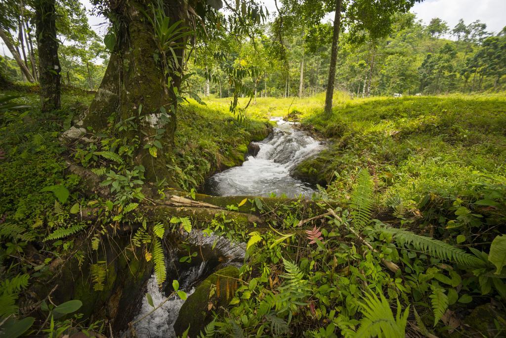 Blue River Resort & Hot Springs Liberia Εξωτερικό φωτογραφία