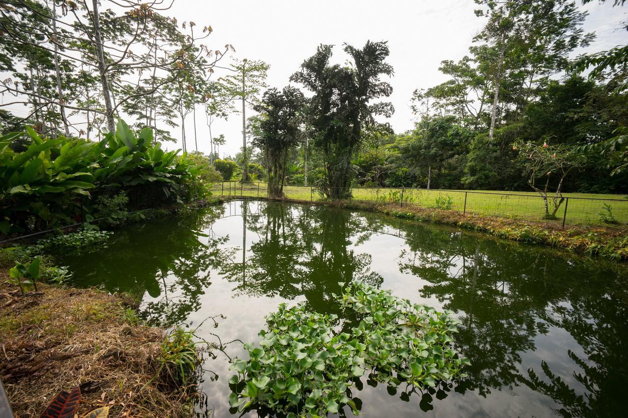 Blue River Resort & Hot Springs Liberia Εξωτερικό φωτογραφία